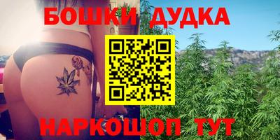 гидра Дубна